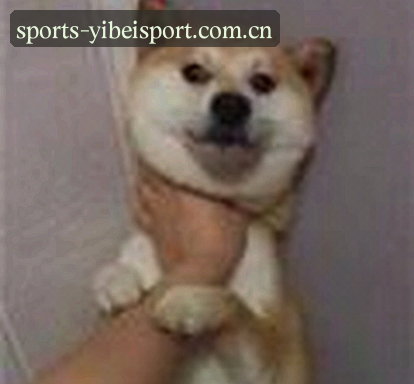 刘洋